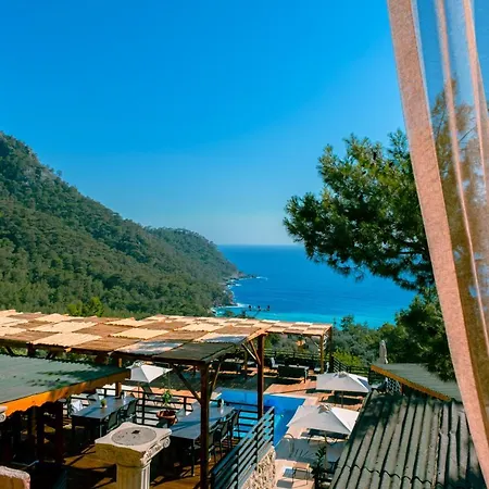 Tree Hotel Fethiye