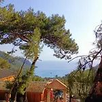 Tree 酒店
