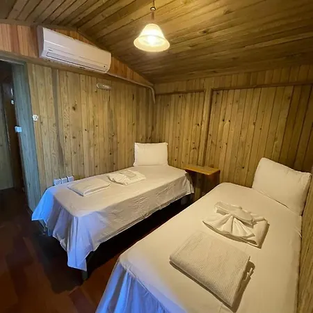 Hotel Tree
