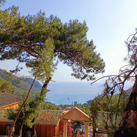 Tree Hotel