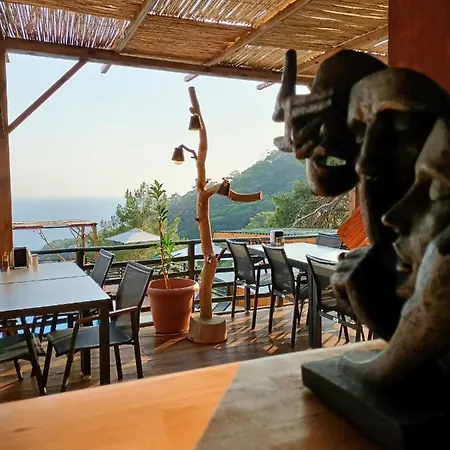 Hotell Tree Fethiye