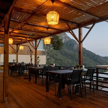 Tree Hotell