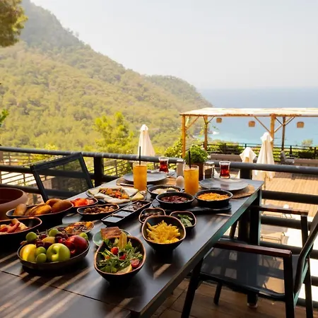 Tree Hotell Fethiye