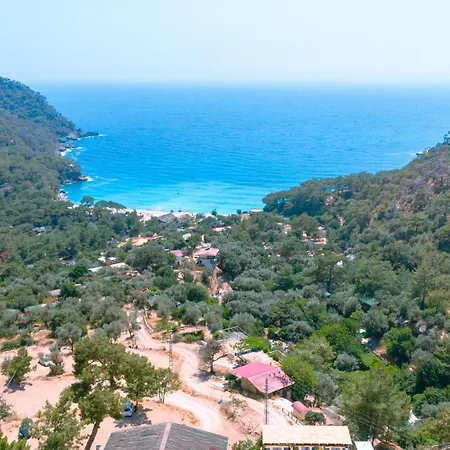 Tree Fethiye