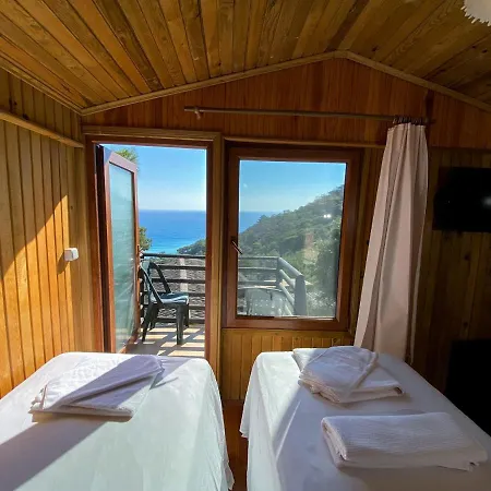 Tree Hotell *