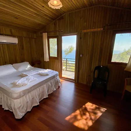 Tree Hotell