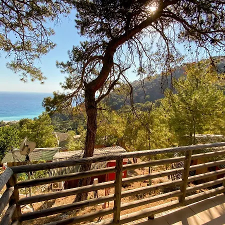Tree Hotel Fethiye