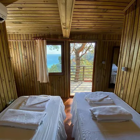 Tree Hotell *