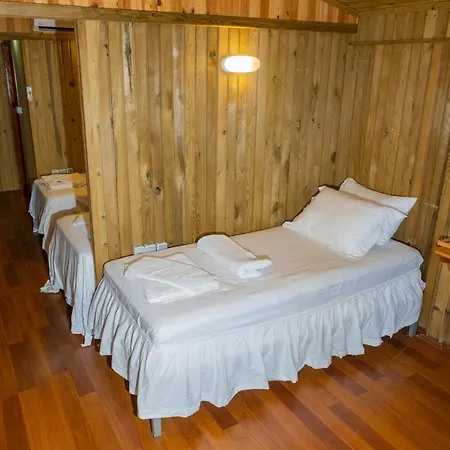 Hotell Tree
