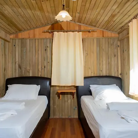 Tree Hotel *