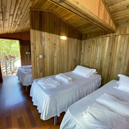 Tree Hotell Fethiye