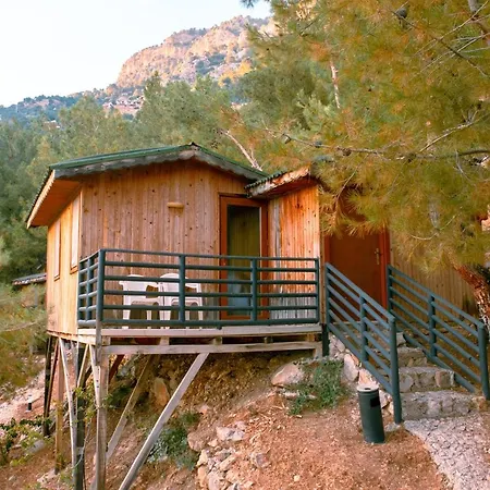 Hotell Tree *