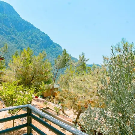 Tree Hotel Fethiye