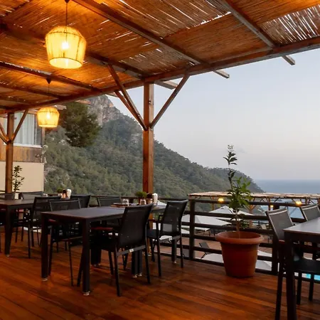 Tree Fethiye