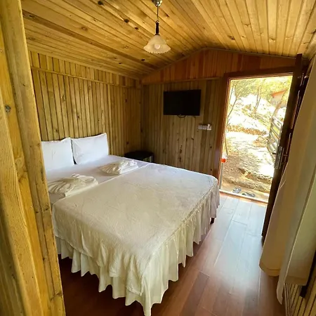 Tree Hotell