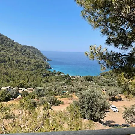 Hotell Tree Fethiye