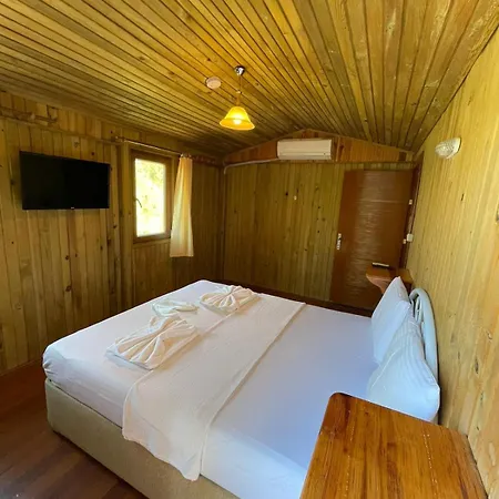 Tree Hotell