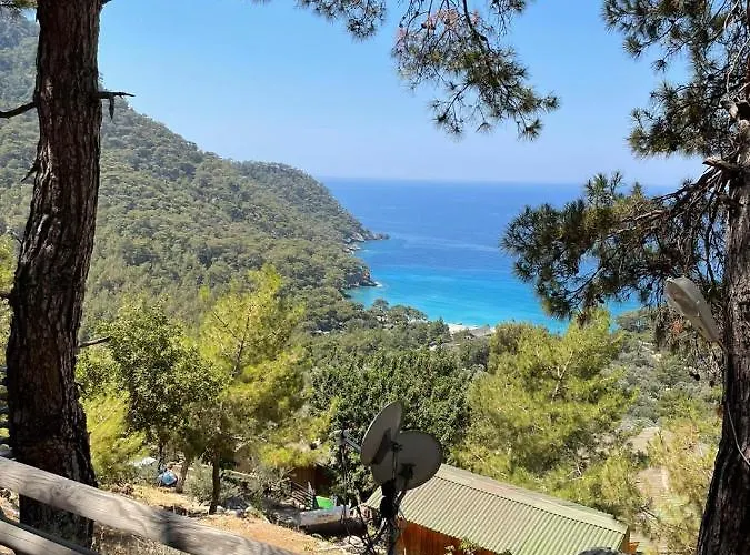فندق Tree