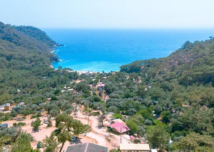 Tree Fethiye