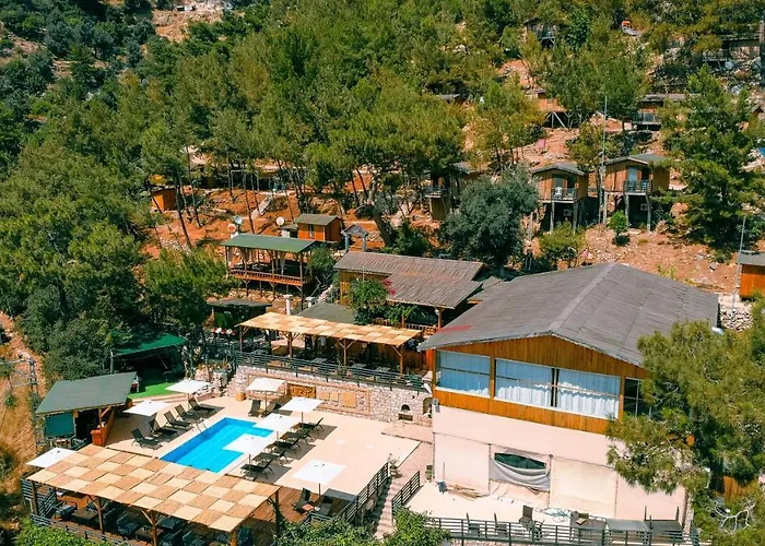 Tree Fethiye