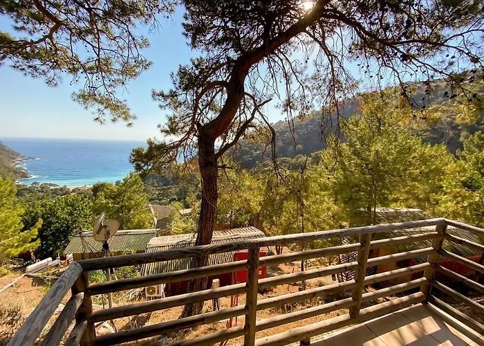 Tree Hotel Fethiye