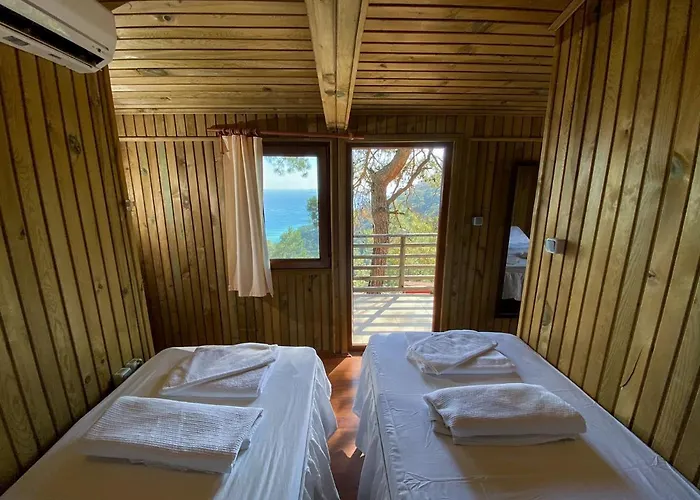Tree Hotel *