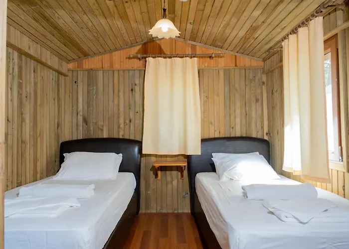 Tree Hotel *