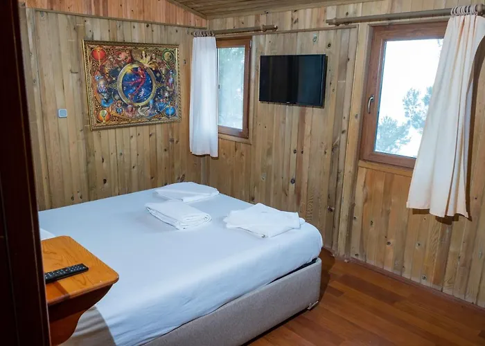 Tree Hotel Fethiye