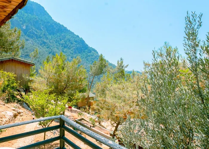 Tree Hotel Fethiye