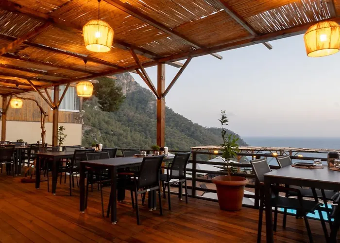 Tree Fethiye