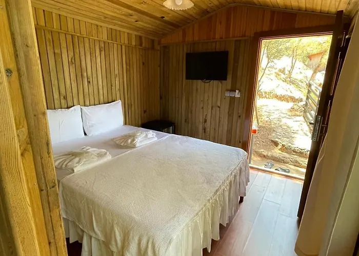 Tree Hotel