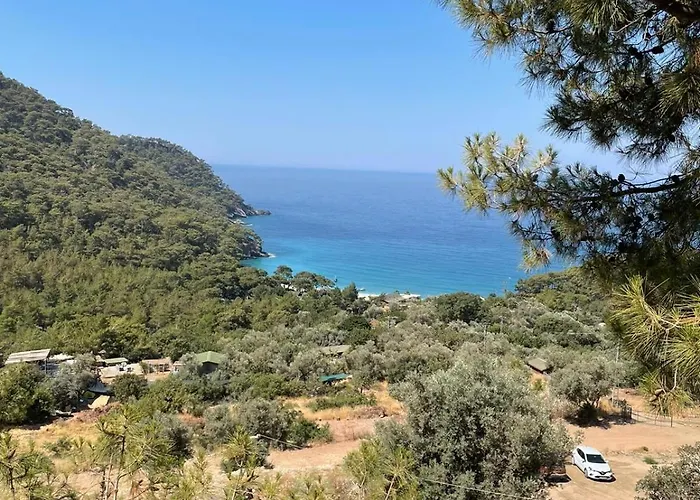 Hotel Tree Fethiye